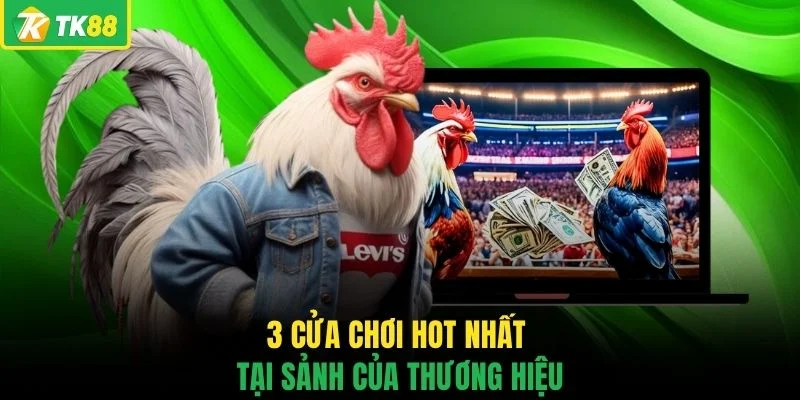 Đá Gà TK88 - Sân Chơi Chọi Kê Đẳng Cấp Số 1 Châu Á Hiện Nay - novaslot89.biz