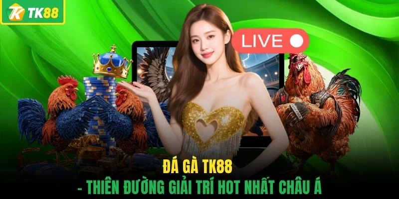 Đá Gà TK88 - Sân Chơi Chọi Kê Đẳng Cấp Số 1 Châu Á Hiện Nay - novaslot89.biz