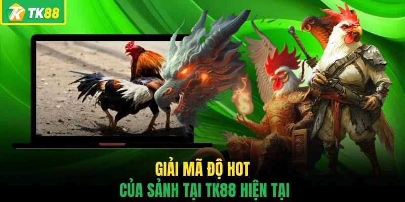 Đá Gà TK88 - Sân Chơi Chọi Kê Đẳng Cấp Số 1 Châu Á Hiện Nay - novaslot89.biz