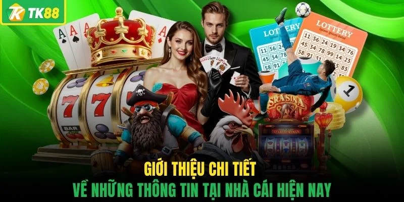Giới Thiệu TK88 - Hé Lộ Những Điểm Nổi Bật Đáng Chú Ý - novaslot89.biz