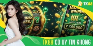 TIN TỨC - novaslot89.biz - novaslot89.biz