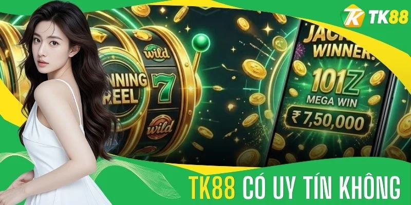 Giải Mã TK88 Có Uy Tín Không Qua Các Tiêu Chuẩn Thực Tế - novaslot89.biz