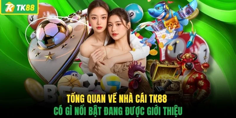 Giới Thiệu TK88 - Hé Lộ Những Điểm Nổi Bật Đáng Chú Ý - novaslot89.biz